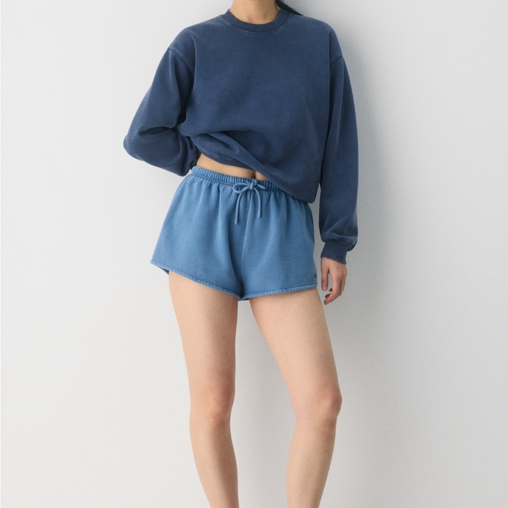 Aritzia Mega Flutter Micro Short